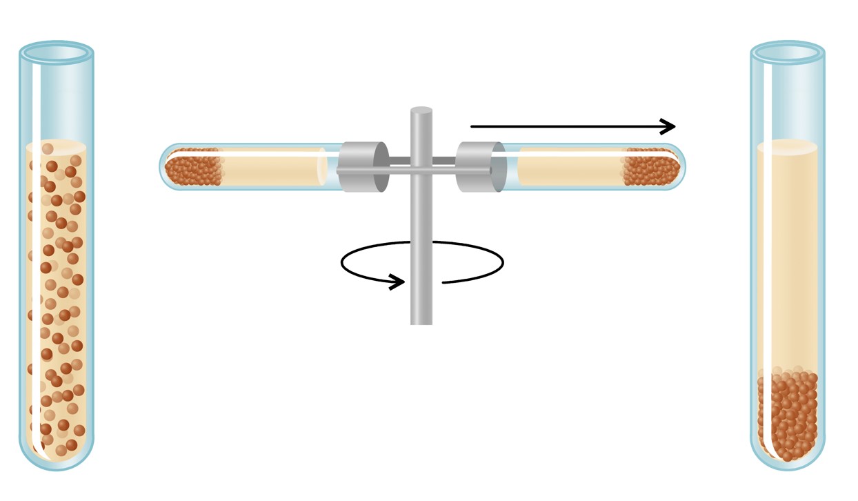 How to Convert RPM to GForce(RCF)? Creative Diagnostics