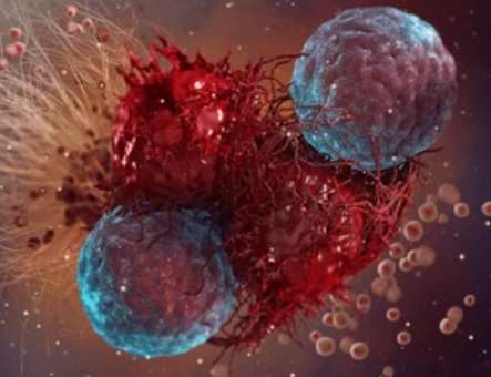 Figure 2. Cancer Immunotherapy