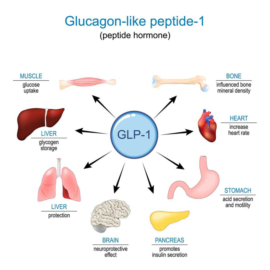 Glucagon like peptide-1.