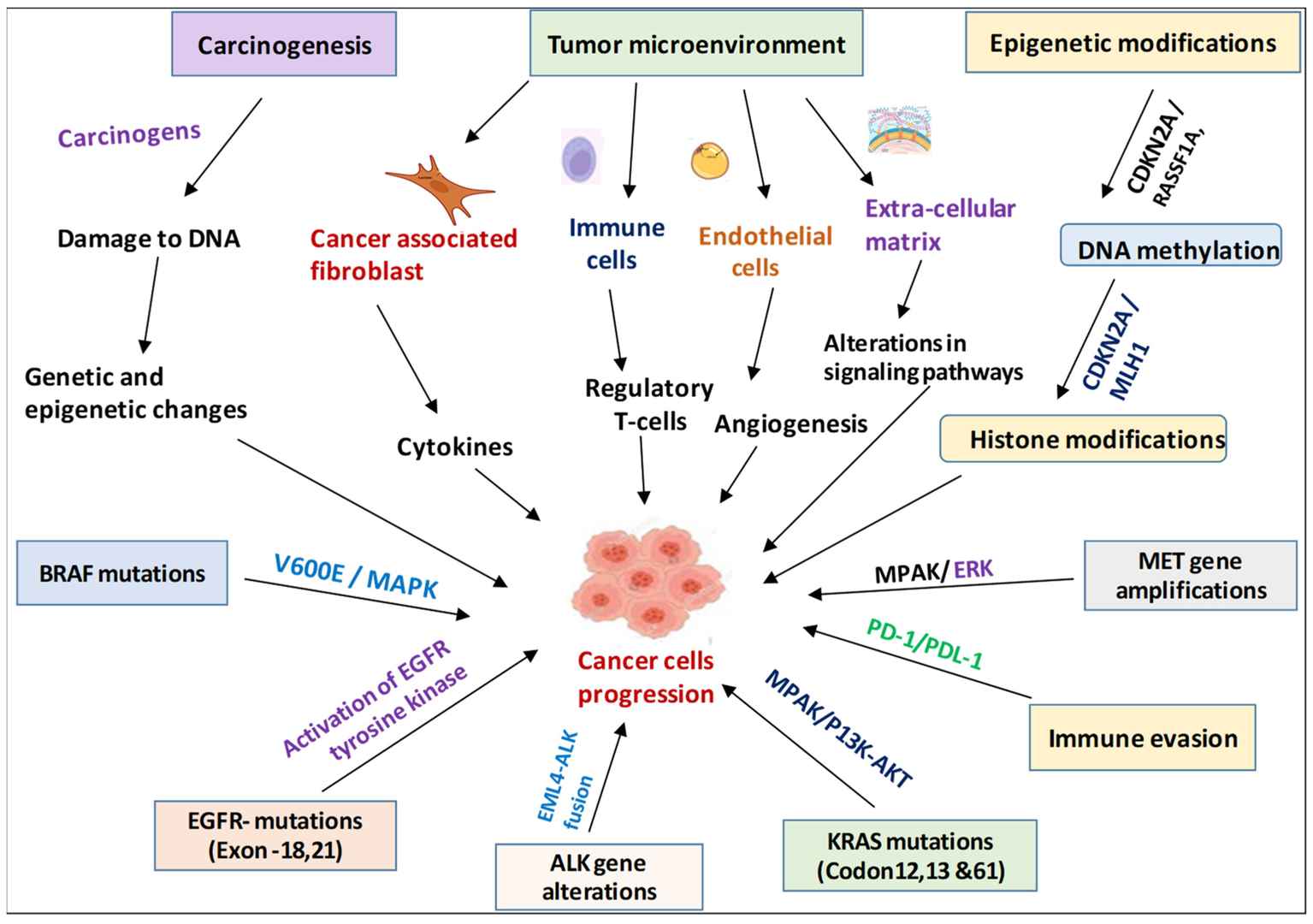 Non-Small Cell Lung Cancer