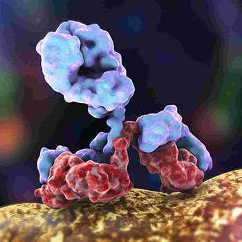 Immuno-fluorescence
