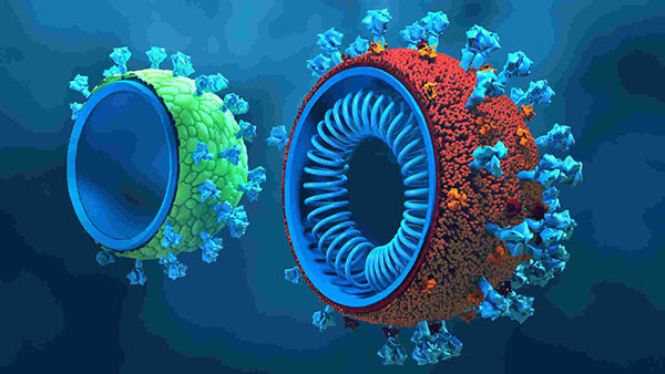 Premium-grade Virus-like Particle (VLP) Antigen Production - Creative ...
