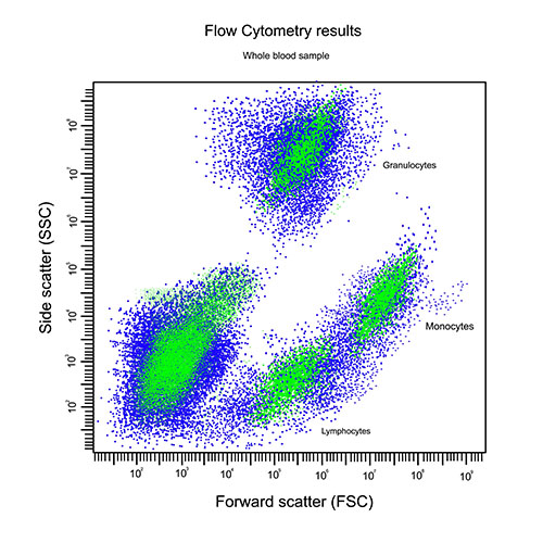 Flow cytometry
