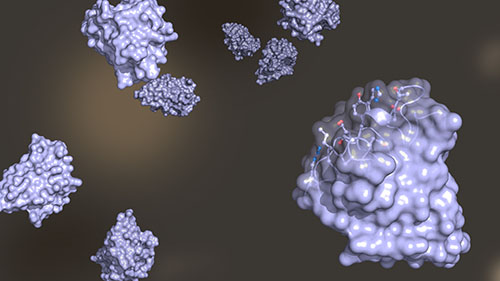 Immunofluorescence Guide