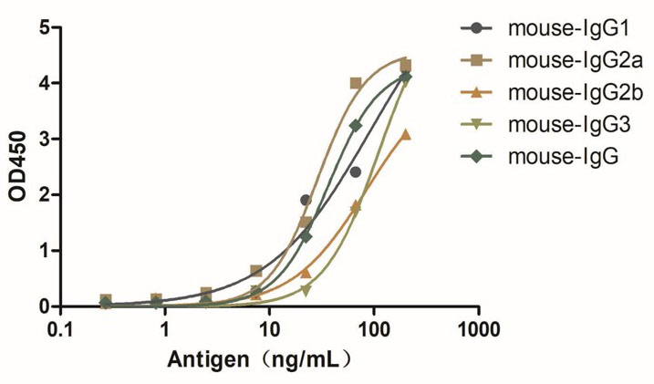 HiResNb™ Anti-Mouse IgG(H+L) VHH antibody, Biotin