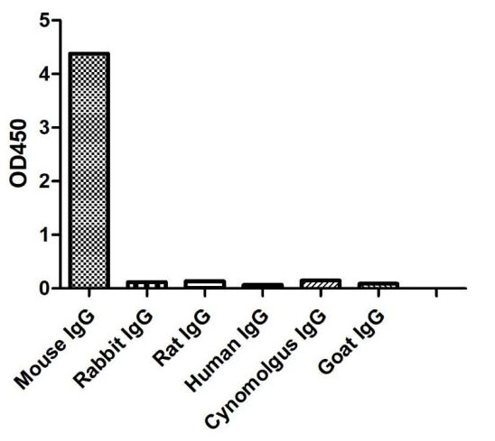 HiResNb™ Anti-Mouse IgG2b(Fcγ Fragment specific) VHH antibody, HRP