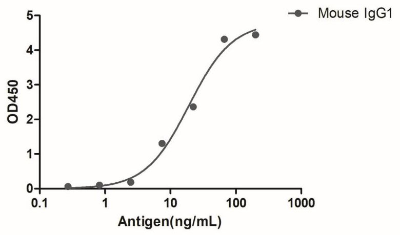 HiResNb™ Anti-Mouse IgG1(Fcγ Fragment specific) VHH antibody, HRP