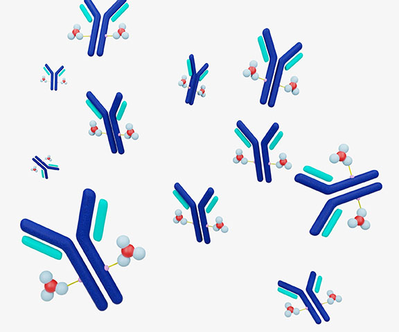 Antibody drug conjugated cytotoxic payload 3d rendering