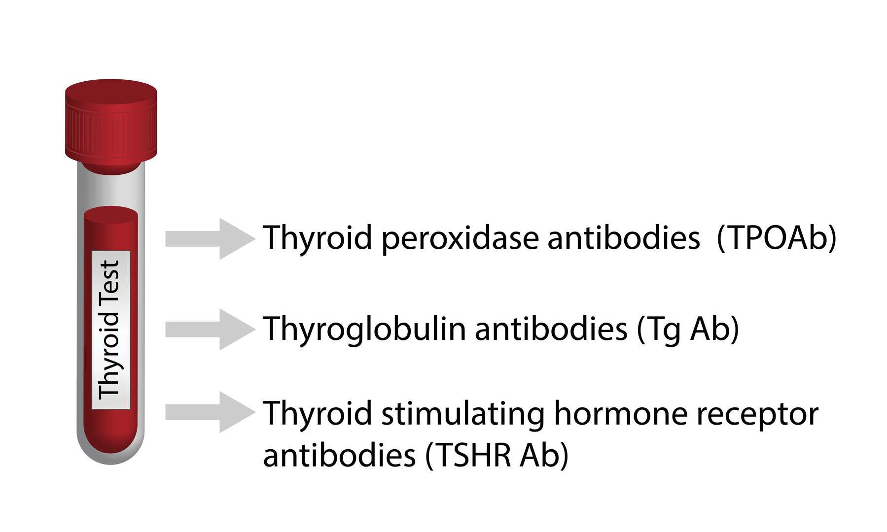 Thyroid Disease Testing and Analysis Services - Creative Diagnostics