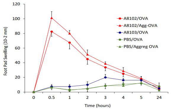 Anti-OVA (61-68 DKLPGFGD) monoclonal antibody