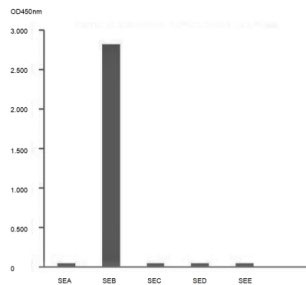 Anti- Staphylococcus aureus SEB monoclonal antibody