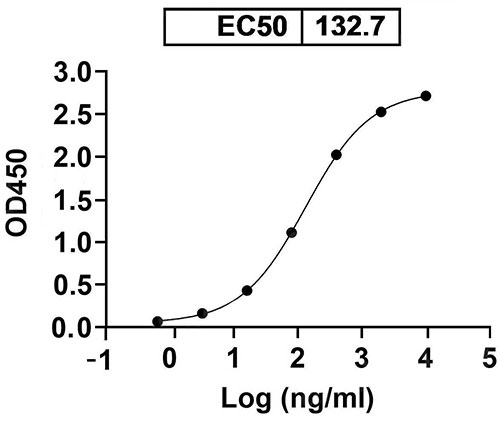 Anti-Human MIF Monoclonal Antibody